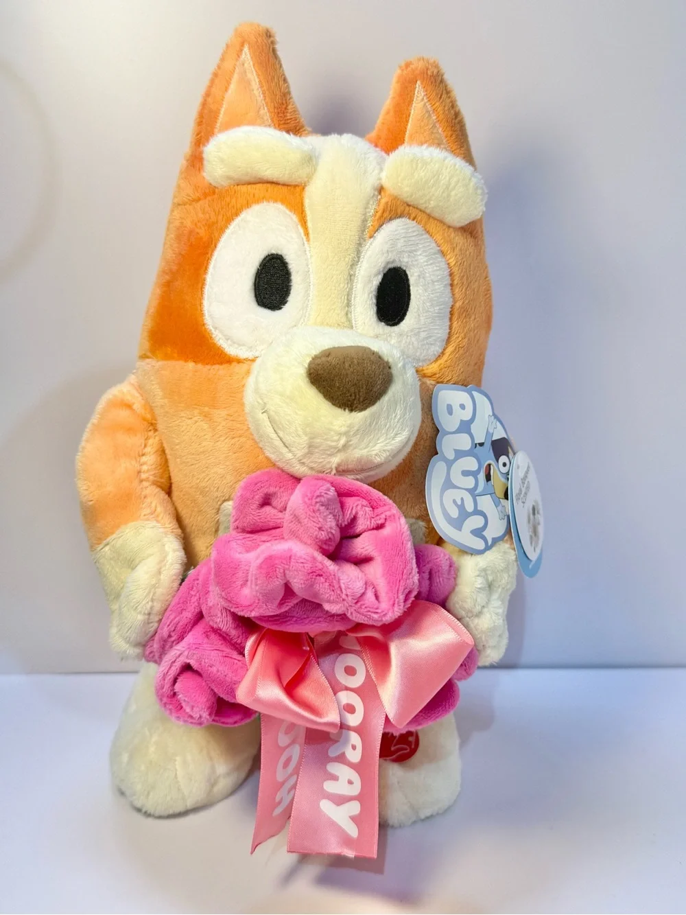 Bluey Bingo Animated Valentines Plush Stuffed Animal with Scented Floral Bouquet